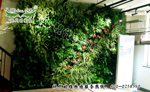 装饰公司植物墙
