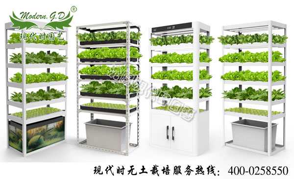 智能蔬菜种植机